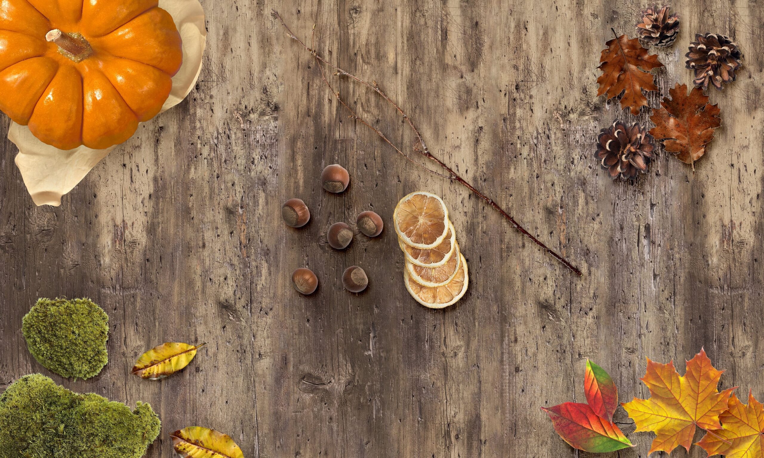 biljast-autumn-3737582